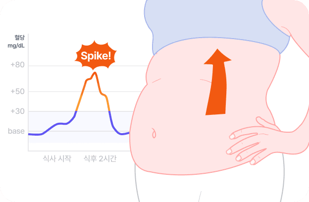 혈당 스파이크로 인한 체지방 증가 이미지